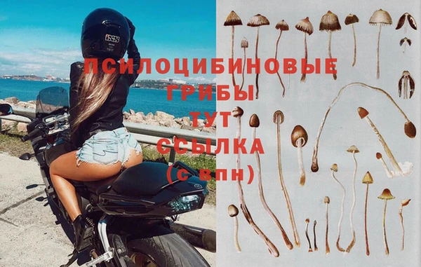 MESCALINE Балахна
