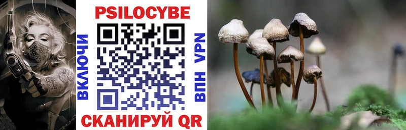 Купить закладки  Курлово  Псилоцибиновые грибы мицелий 